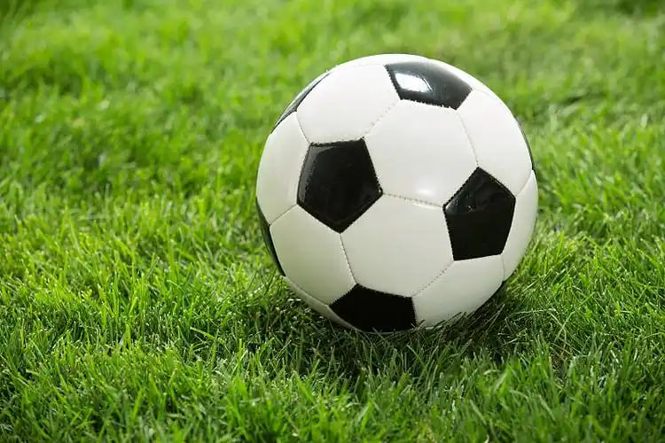 足球直播在线播放使用流程示意图